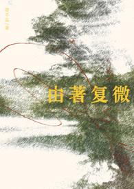 由著复微 见佳音讲的什么