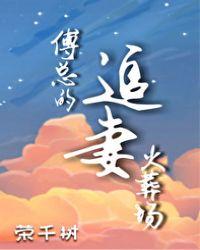 傅总的 追妻火葬场
