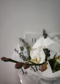 我的未婚妻不可能这样