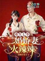 重生七零再婚军嫂