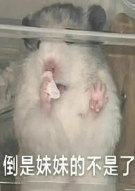 她太甜最新章节