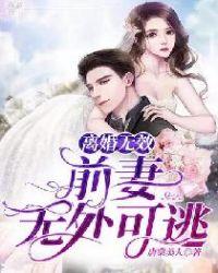 前妻离婚无效全文