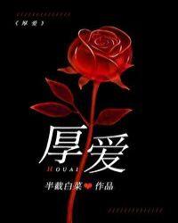 厚爱半截白菜TXT百度