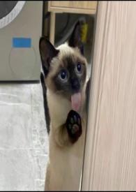 慢慢喜欢你 莫文蔚