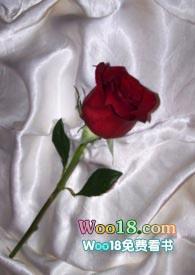 和联姻对象做炮灰友全文免费阅读