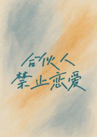 合伙人的限制性规定