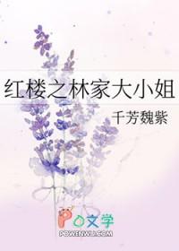 红楼之林家大少爷免费阅读