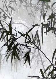 听雨茶社
