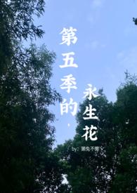 第五季永生花