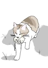 十八线就等你退婚了格格党