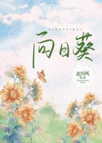 向日葵质押触发鹰眼风险评级