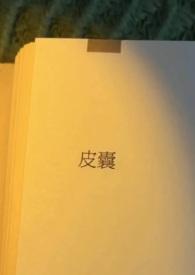 皮囊(出轨)by小北
