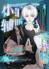 小辅助装有什么