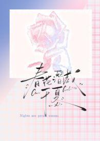 春花潜藏于夏全文阅读