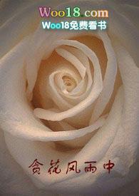 贪花风雨中txt完结