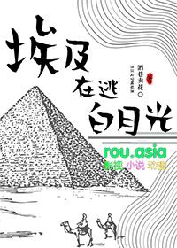 逃往埃及途中