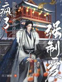 男主是禁欲将军