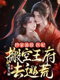 抄家流放医妃搬空王府去逃荒免费观看