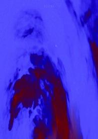 不起眼的一颗星在线阅读