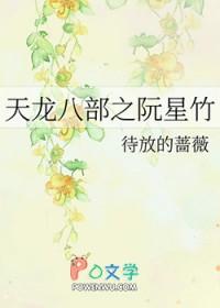 新天龙八部阮星竹出场