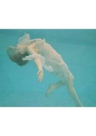 人非草木岂能无情