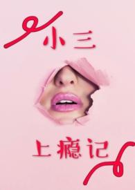 小三上瘾记(写小三专业户) - 小三上瘾记