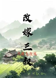 改嫁1979免费阅读