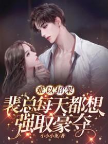 网文里面裴总是什么梗