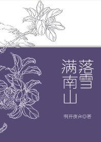 落雪满南山 明开夜合TXT