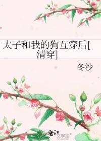 [红楼清穿