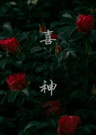 喜神公司