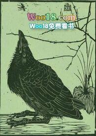 空壳的意思