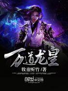 至尊龙帝陆鸣最