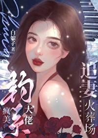 疯美钓系大佬追妻火葬场笔趣阁