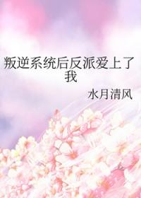 反叛系统txt