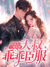 小夫人免费阅读