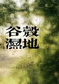 谷壳宝最新消息