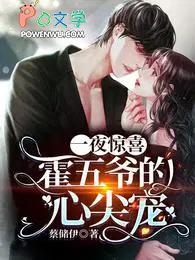 一夜惊喜霍少轻轻宠