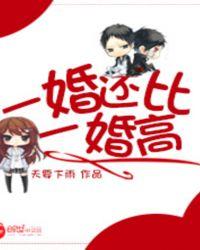 一婚还比一婚高讲的什么