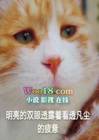 未婚先孕大全