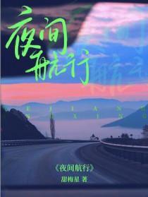 夜间航行txt盘