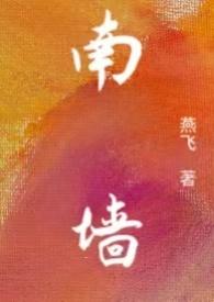 南墙npc