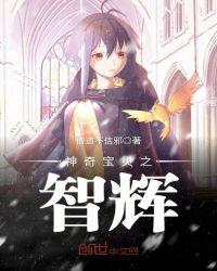 神奇宝贝之智辉有没有女主