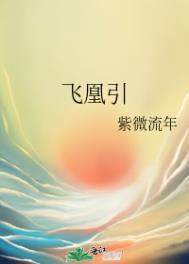 飞凰引 紫微流年笔趣阁