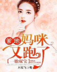 一胎双宝爹地妈咪要跑免费阅读