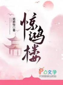惊鸿楼全本TXT