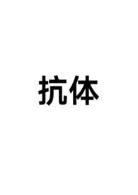 抗体和抗原