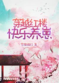红楼穿越的完结篇