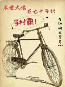 末世大佬在七零年代发家致富