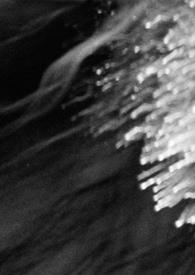 本宫不承欢 妖凰